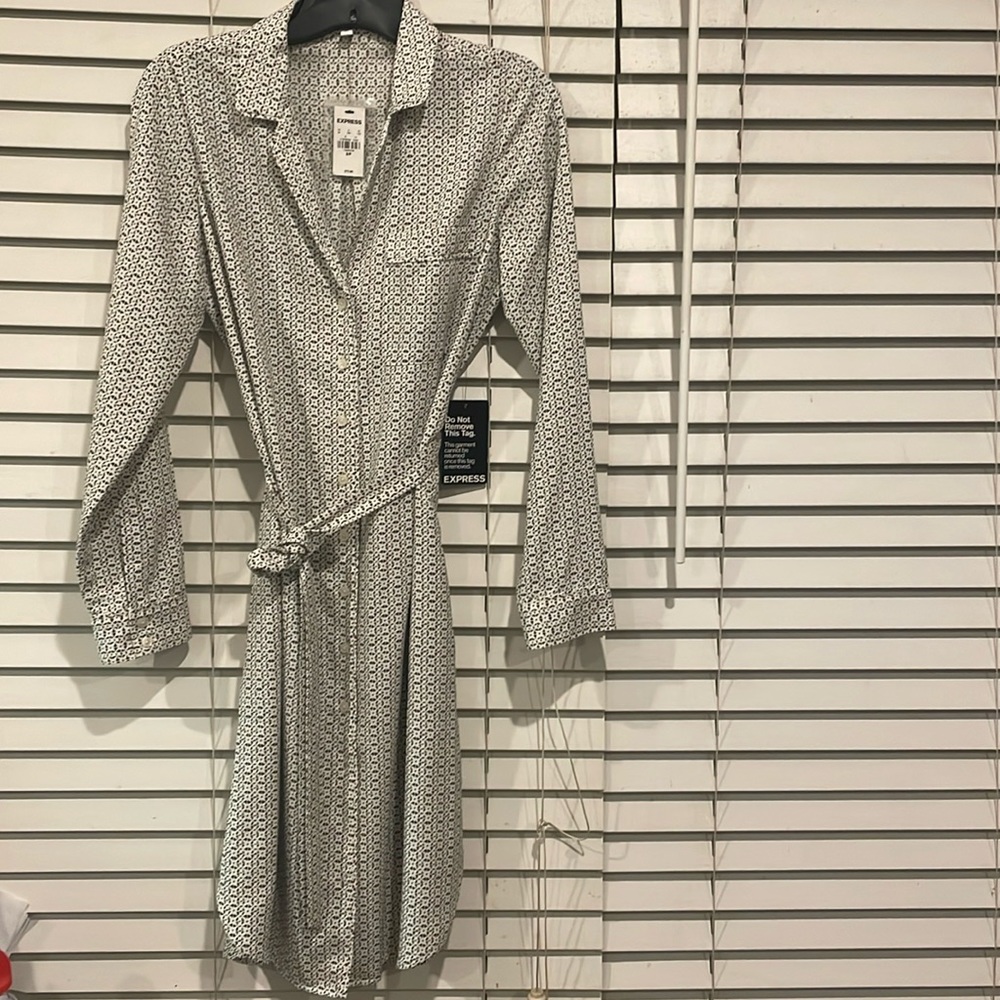 Express Shirtdress